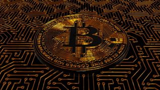 bitcoin crece 3% y logra romper la barrera de los u$s40.000: ¿seguira subiendo?