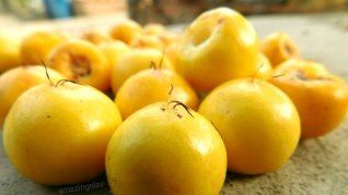 El nanche o fruta de oro es una gran opción para mejorar el aspecto de la piel.&nbsp;