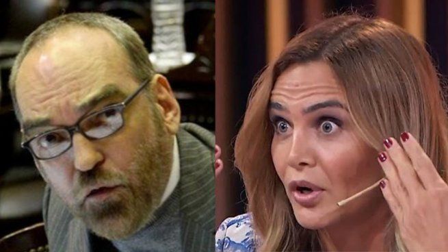 Fernando Iglesias y Amalia Granata.