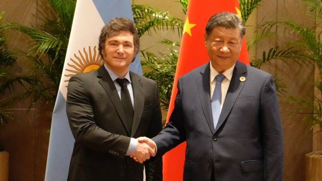 Milei y Xi Jinping en la reunión bilateral que mantuvieron hoy en Río de Janeiro.