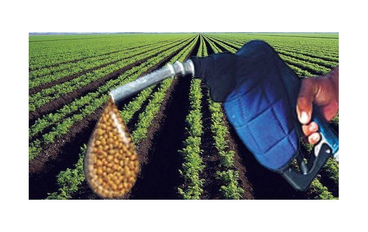 Biodiésel: OMC falló a favor de la Argentina por aranceles de la UE