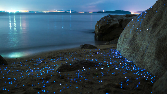 El pueblito cercano a Guadalajara donde el mar se enciende.