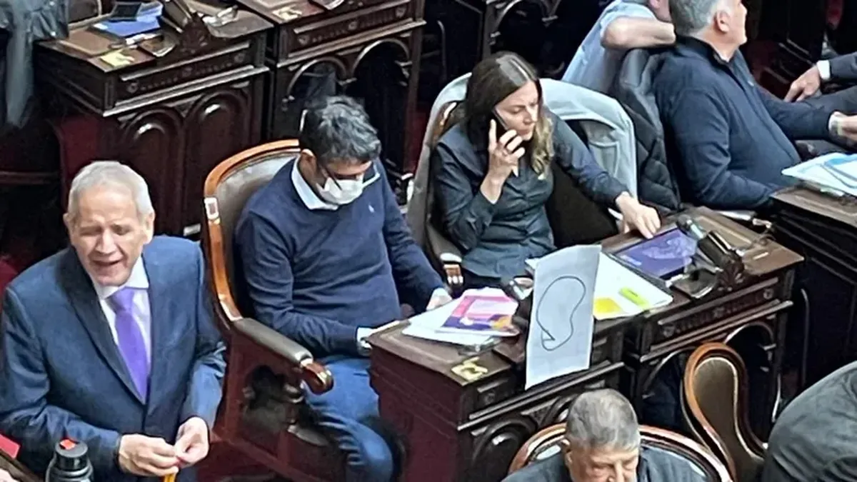 Session in the House of Representatives: a deputy brought a message from The Simpsons