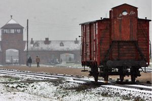 A los 105 años investigan a un hombre por su presunto rol en un campo nazi. A los 105 años investigan a un hombre por su presunto rol en un campo nazi.