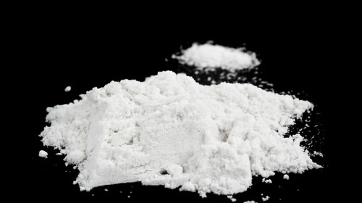 They seize a huge shipment of cocaine of almost $ 170 million