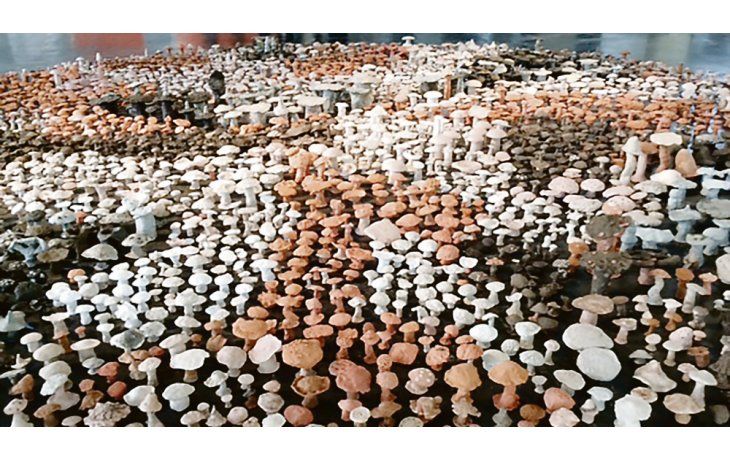 ámbito.com | Bienal vegetal. Al ingresar se destaca una acumulación de 2.000 hongos de arcilla de diferentes tamaños, realizados por alumnos de escuelas de San Pablo convocados por el español Antonio Ballester Moreno.