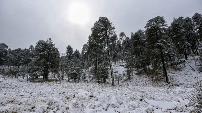 Checa la situación del clima en México.