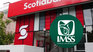 Scotiabank se une al IMSS y confirma una noticia que beneficiará a miles de mexicanos en 2026.&nbsp;