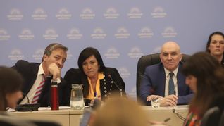 La bullrichista Rodríguez Machado encabeza el debate que involucra a cinco comisiones.&nbsp;