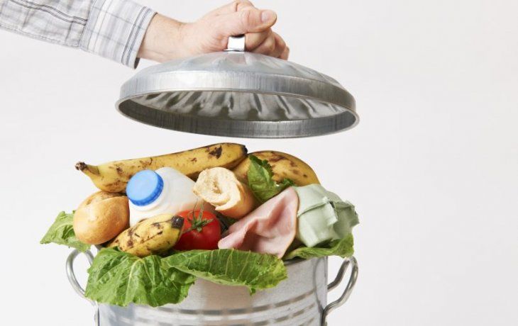 En nuestro país se tiran 16 millones de toneladas en perfecto estado por año, lo cual implicaría uno de cada tres platos de comida