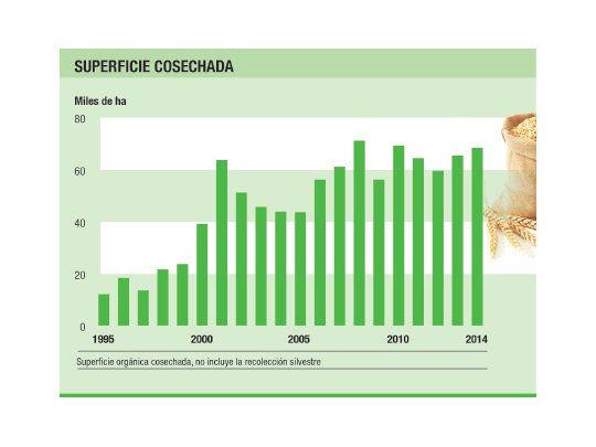 Orgánicos: una alternativa que se torna más rentable