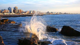 mar del plata: record de temperatura del oceano en los ultimos 10 anos