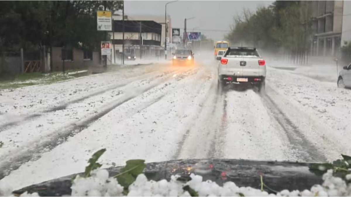 Una feroz tormenta de granizo provocó una matanza de animales y destrozó viviendas en Santa Fe