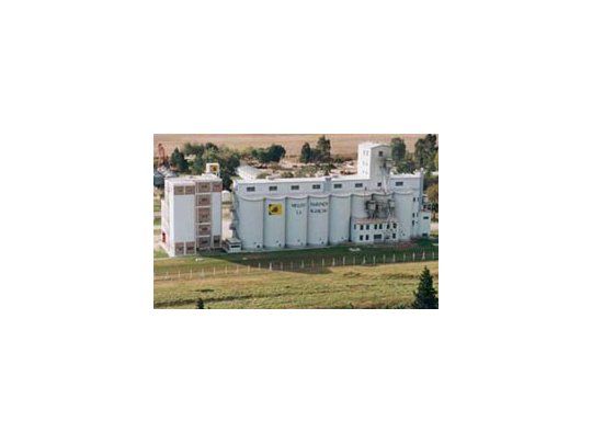 Según datos del INDEC, la molienda de granos y oleaginosas fue el sector industrial que más creció.