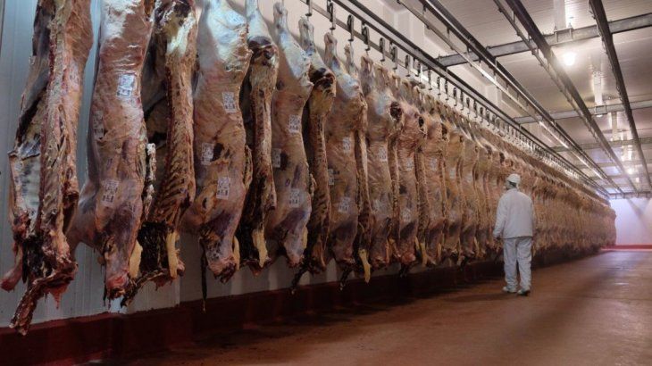 Carne: pese a que cae el precio de la hacienda, no deja de subir en góndola