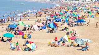 La zona de General Pueyrredon con menor ocupación para disfrutar de la tranquilidad del mar. La zona de General Pueyrredon con menor ocupación para disfrutar de la tranquilidad del mar.