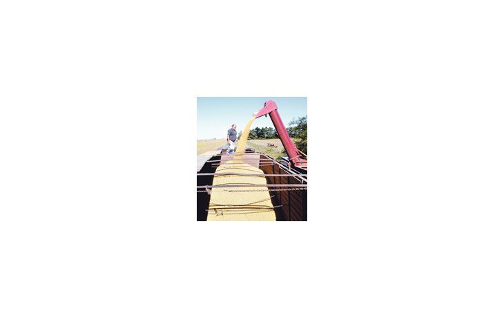 ámbito.com | Los precios de la soja se mantienen sostenidos, producto de la sólida demanda internacional y del buen ritmo de ventas de Estados Unidos.