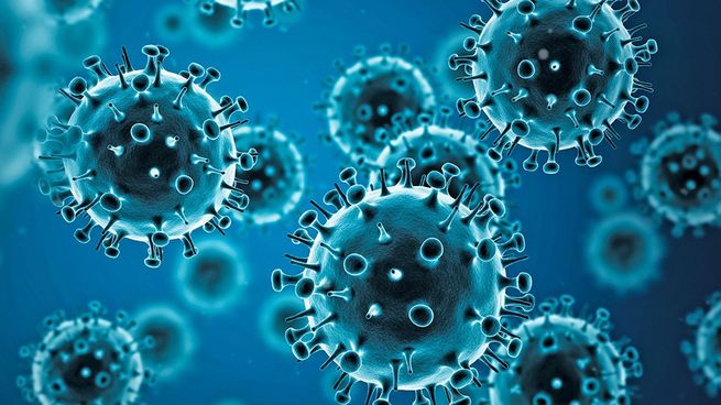 Virus de Influenza. 