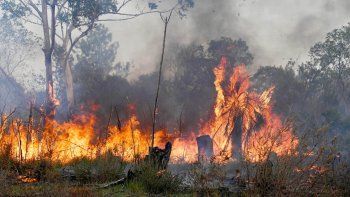 Incendios en Corrientes. &nbsp;
