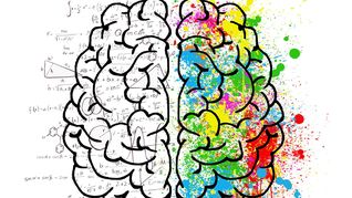 cerebro: lo que recomiendan en harvard para mejorar tu memoria