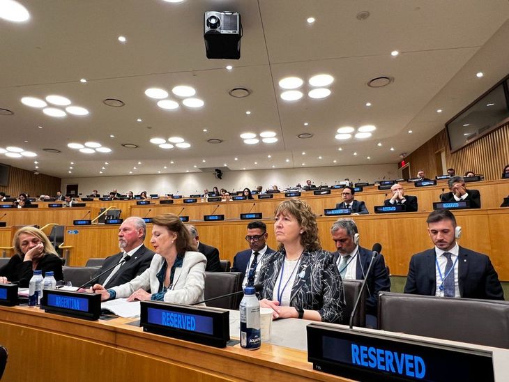 La canciller Diana Mondino, ante el Comité de Descolonización de la ONU. La canciller Diana Mondino, ante el Comité de Descolonización de la ONU.
