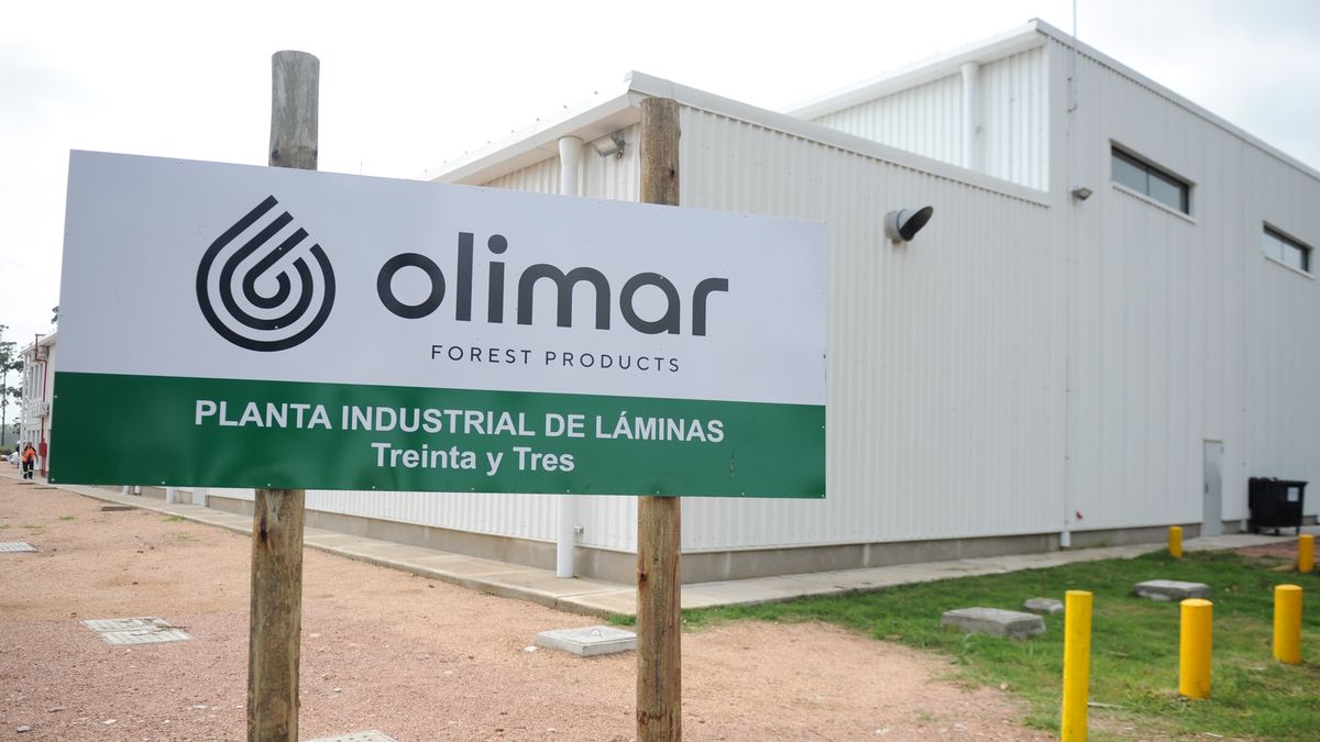 The launch of a forestry plant strengthens a sector that will be key in 2024