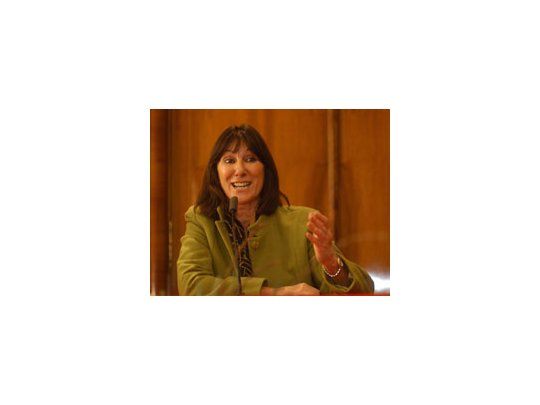 La ministra hizo este llamamiento durante un acto en que puso en funcionamiento el Consejo de Seguridad Eléctrica.