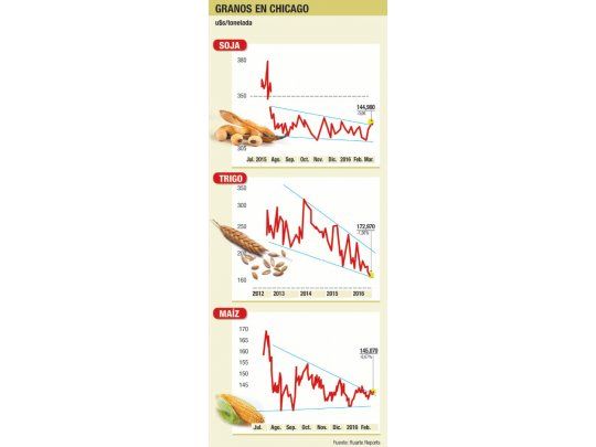 Soja, firme en Chicago (subió 0,3%)