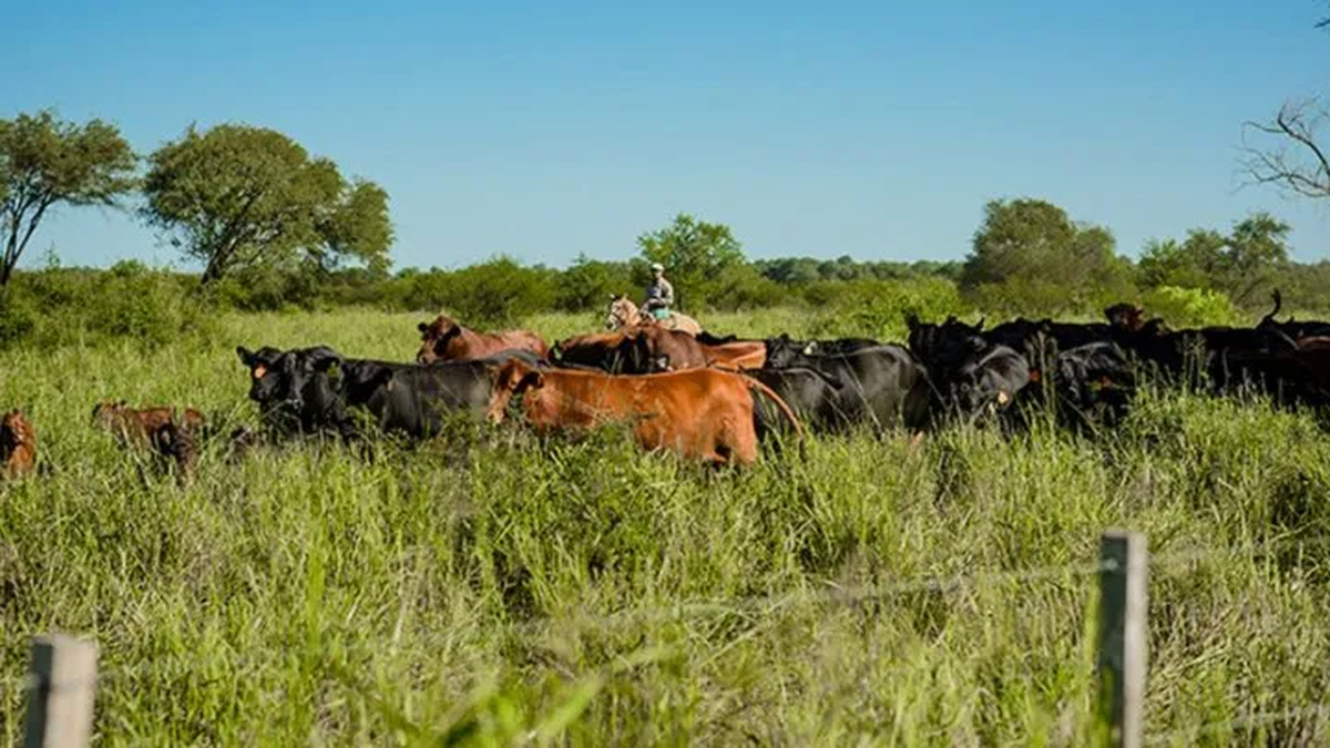 Agricultural Producers demanded the forgiveness of tax debts