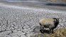 El lago Titicaca continúa evidenciando un importante descenso del nivel de agua