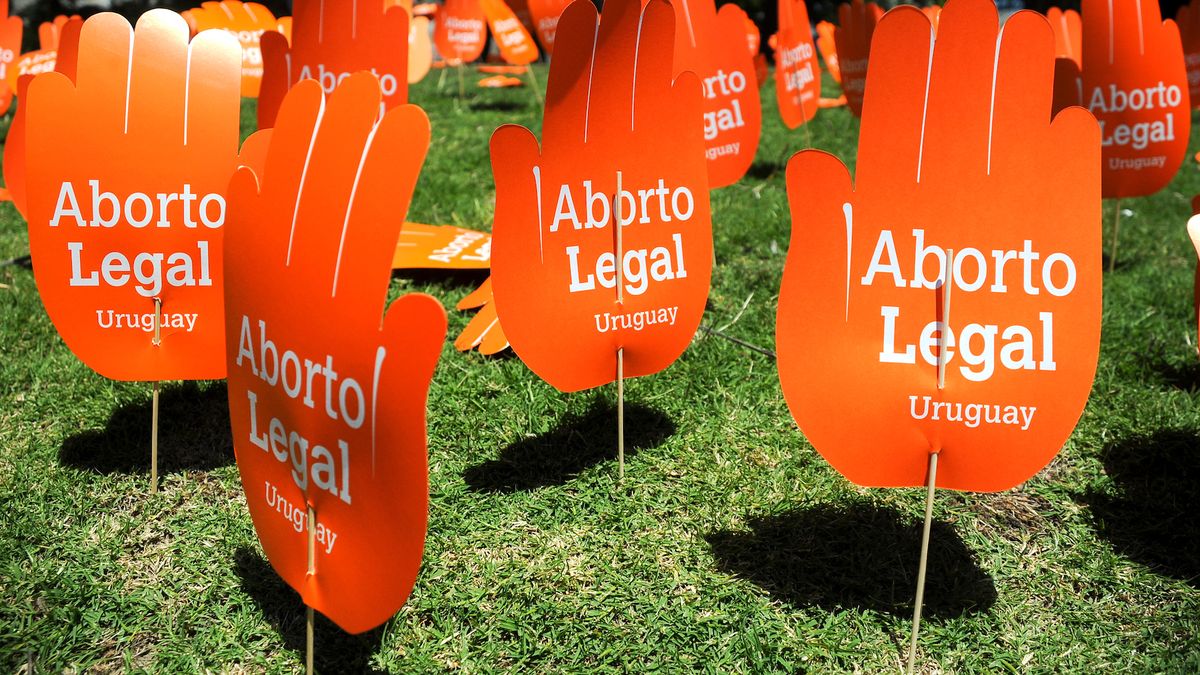 10 years of the abortion law: the IVEs entered a plateau