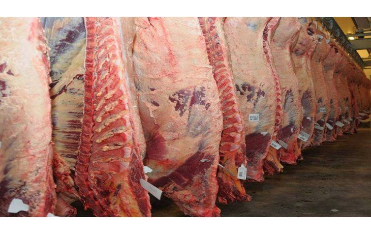 Bajaron los precios por mucha oferta en Liniers