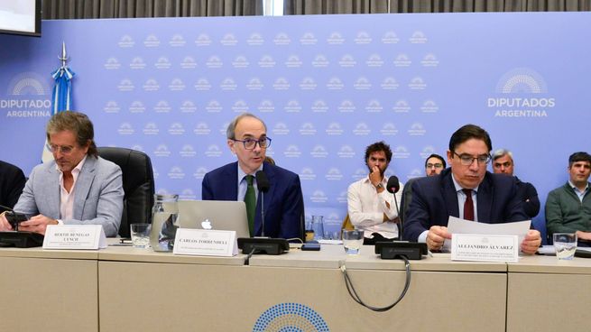 Carlos Torrendell y Alejandro Álvarez defendieron la gestión educativa libertaria.