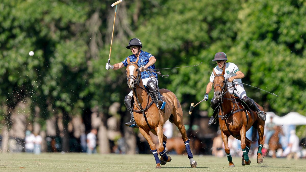 The Palermo Open, unprecedented: it will have five days with free tickets