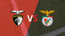 portugal - first division: portimonense vs benfica date 6