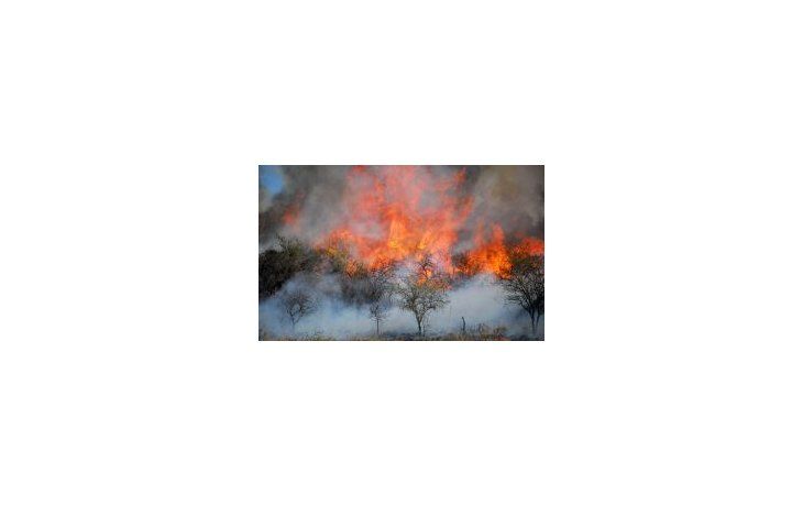 Córdoba: declaran emergencia agropecuaria en zonas afectadas por incendios