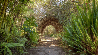 El Bosque de las Hadas. El Bosque de las Hadas.