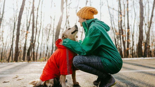 El significado de sentir amor hacia un perro.