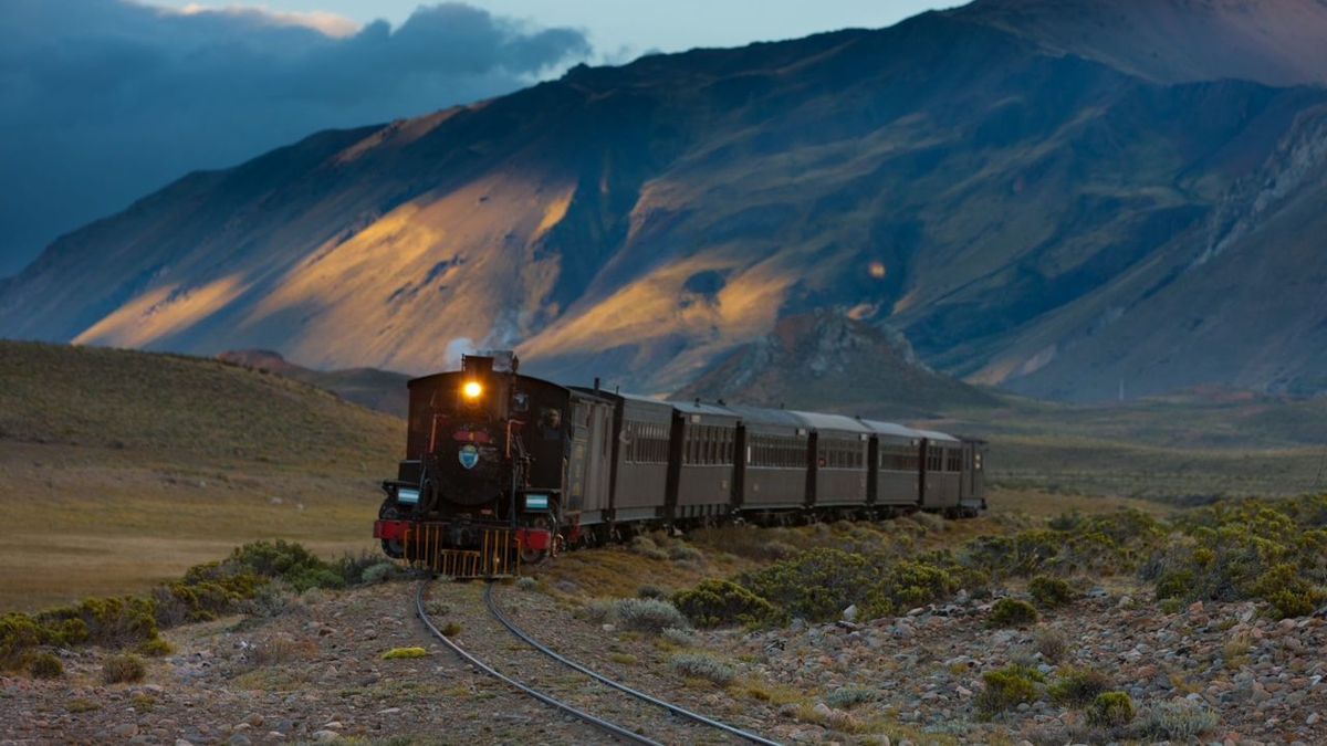 “La Trochita” will be the first tourist train in Argentina with Pet Friendly service: since when