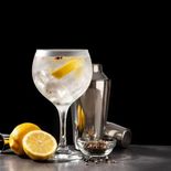 13 de junio - Día Mundial del Gin. 13 de junio - Día Mundial del Gin.