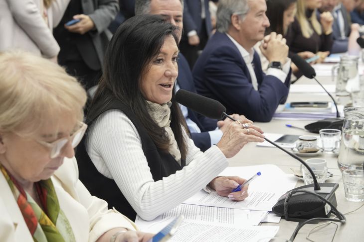 Rodríguez Machado defendió el dictamen oficialista.