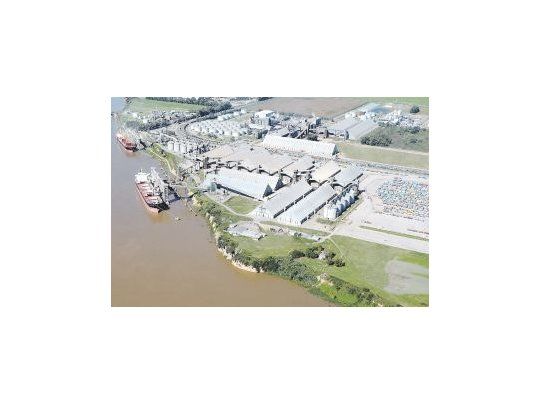 Mercados. Aún resta comercializar más del 40% de la cosecha si se suman las ventas efectuadas a la industria y la exportación.