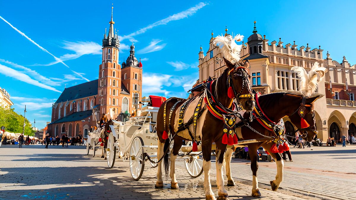 Jakie są najpopularniejsze zawody w Polsce i jak zdobyć pracę