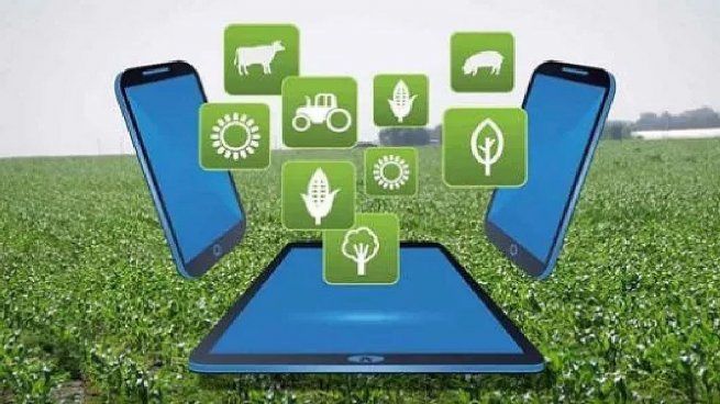 Agronegocios. Las app del agro permiten conocer muy bien los ambientes productivos del campo, así como también optimizar la eficiencia de los recursos.
