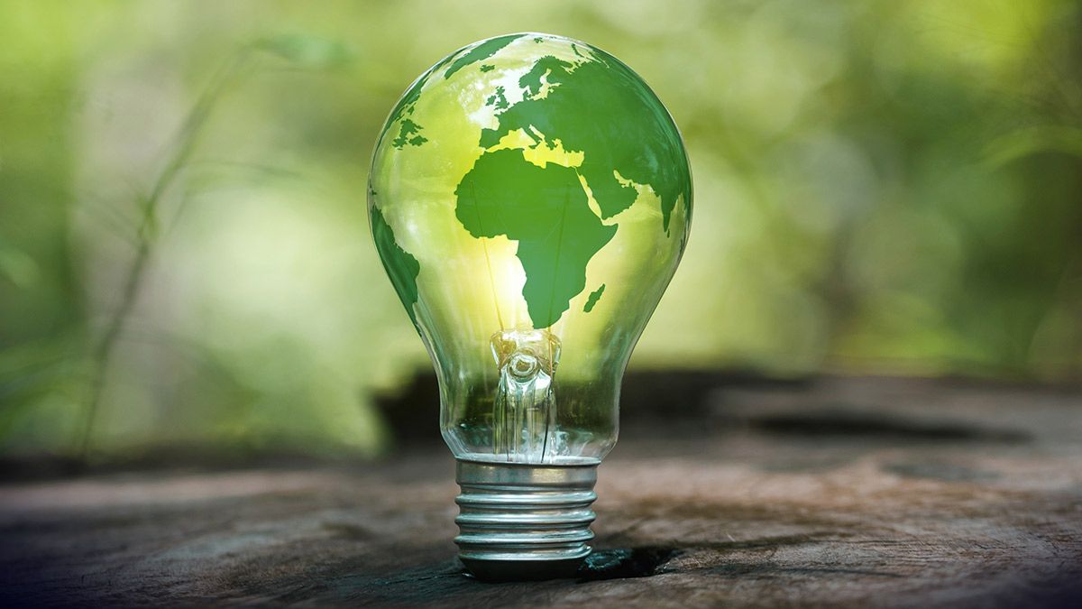 how much is the new disbursement of an international organization