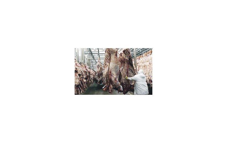 La producción de carne crecería un 1,4% en 2013 y alcanzaría los 308,2 millones de toneladas a nivel mundial.