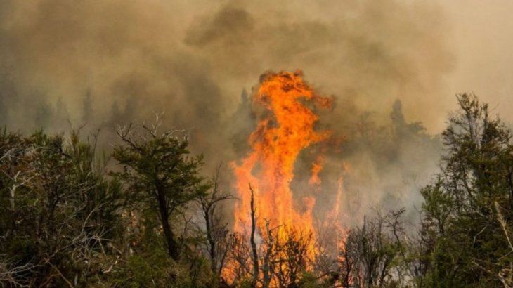 El pronósticometeorológico para enero y febrero es desalentador.