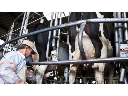 Gobierno cordobés subsidiará a los operarios de SanCor