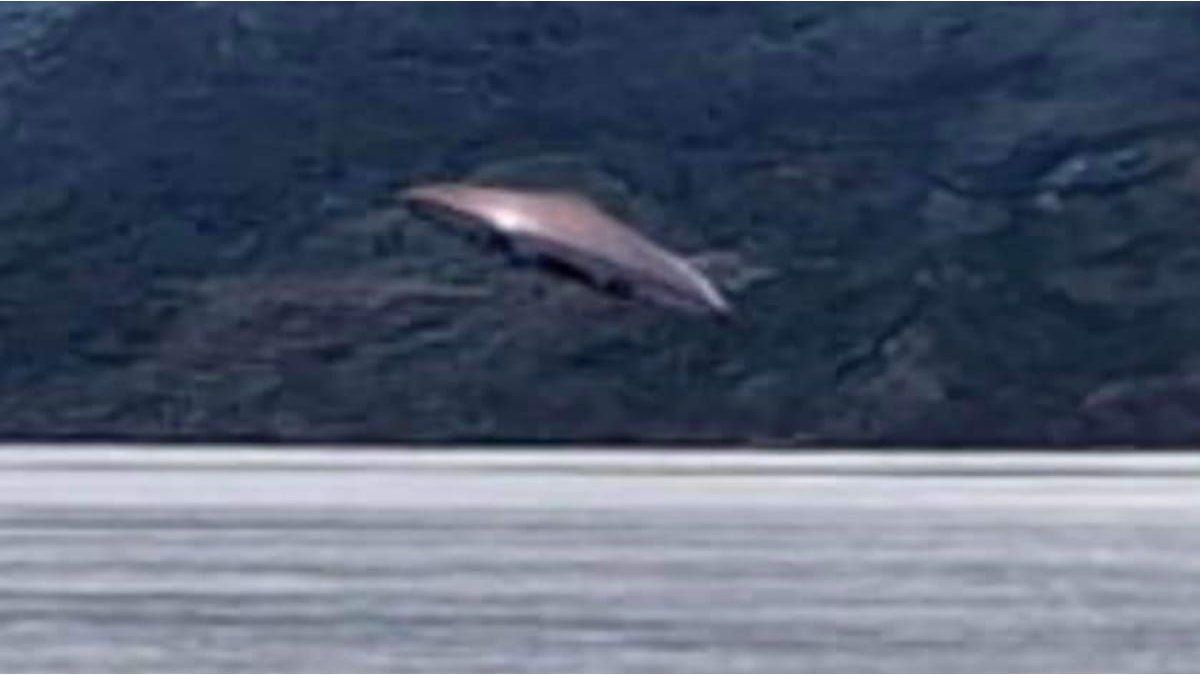 A group of tourists pointed out a strange sighting and believe that it is a UFO