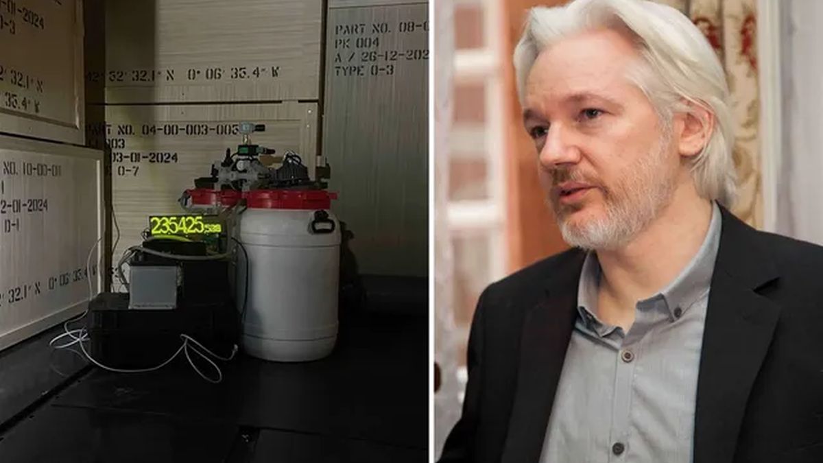 An artist threatened to burn works by Picasso and Rembrandt if Julian Assange dies in prison